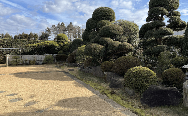 木々や庭